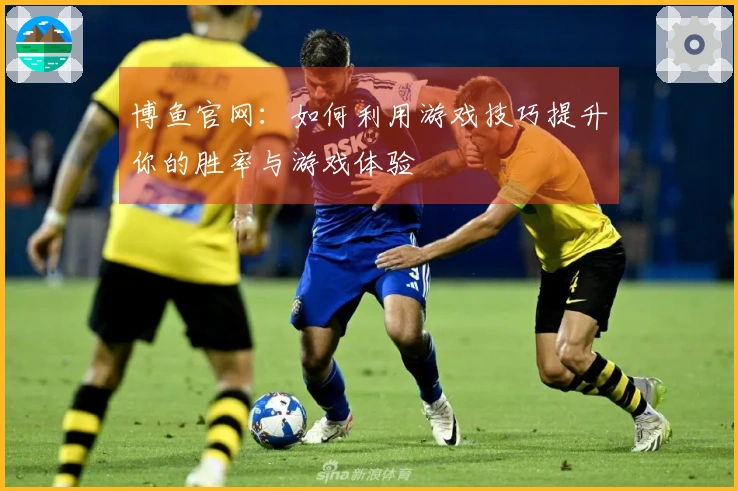 博鱼官网：如何利用游戏技巧提升你的胜率与游戏体验