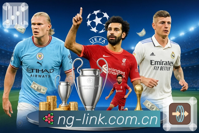 安全使用指引流程